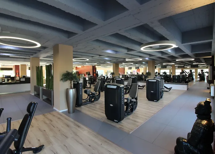 Vitalounge Sports & 3*